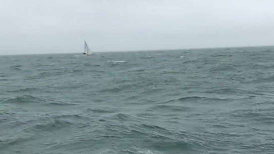 Race To Dun Laoghaire 2018